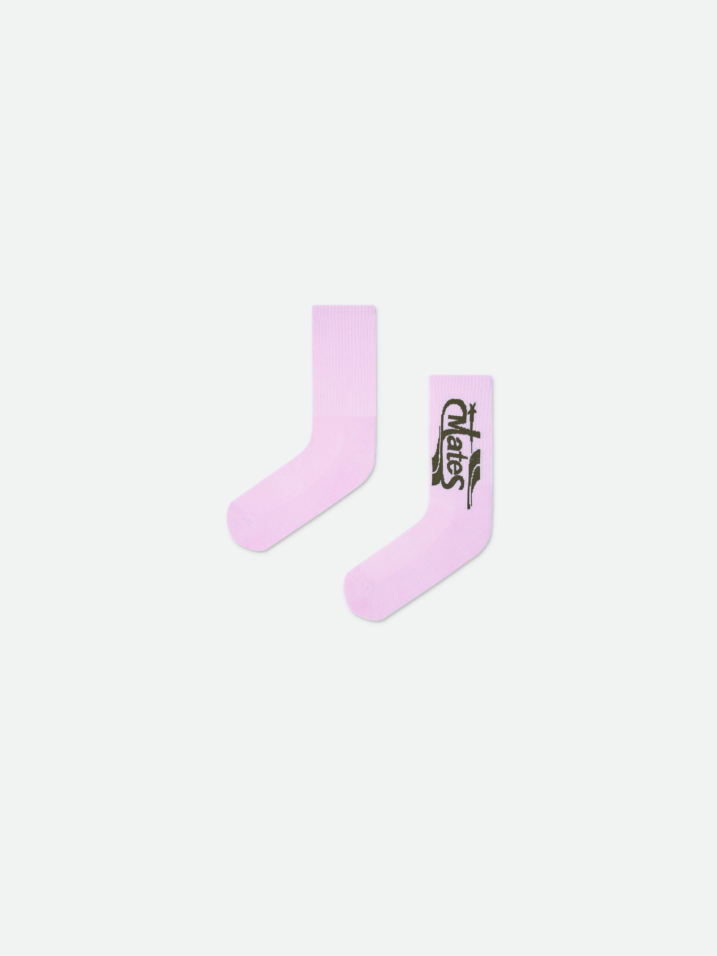 rose-1