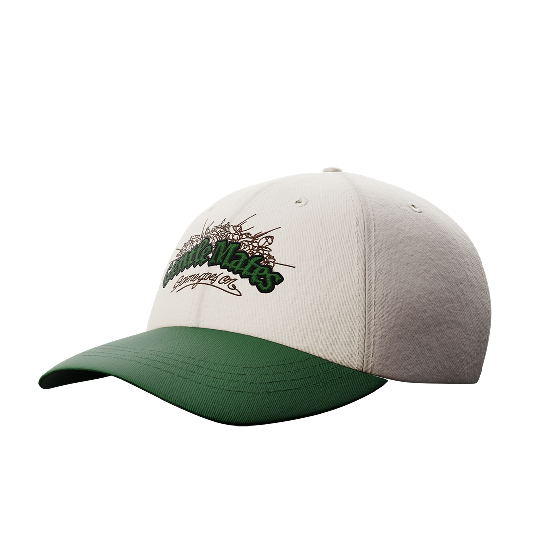 Casquette Gentle Mates dad hat two-tone verte